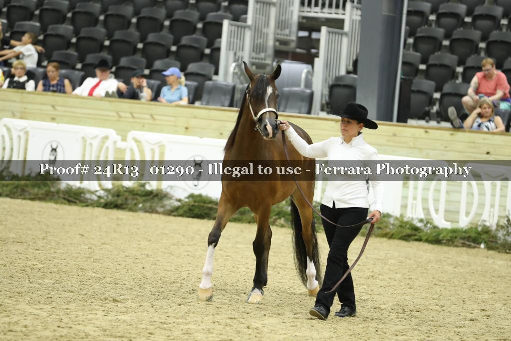 Proof 24R13_01290