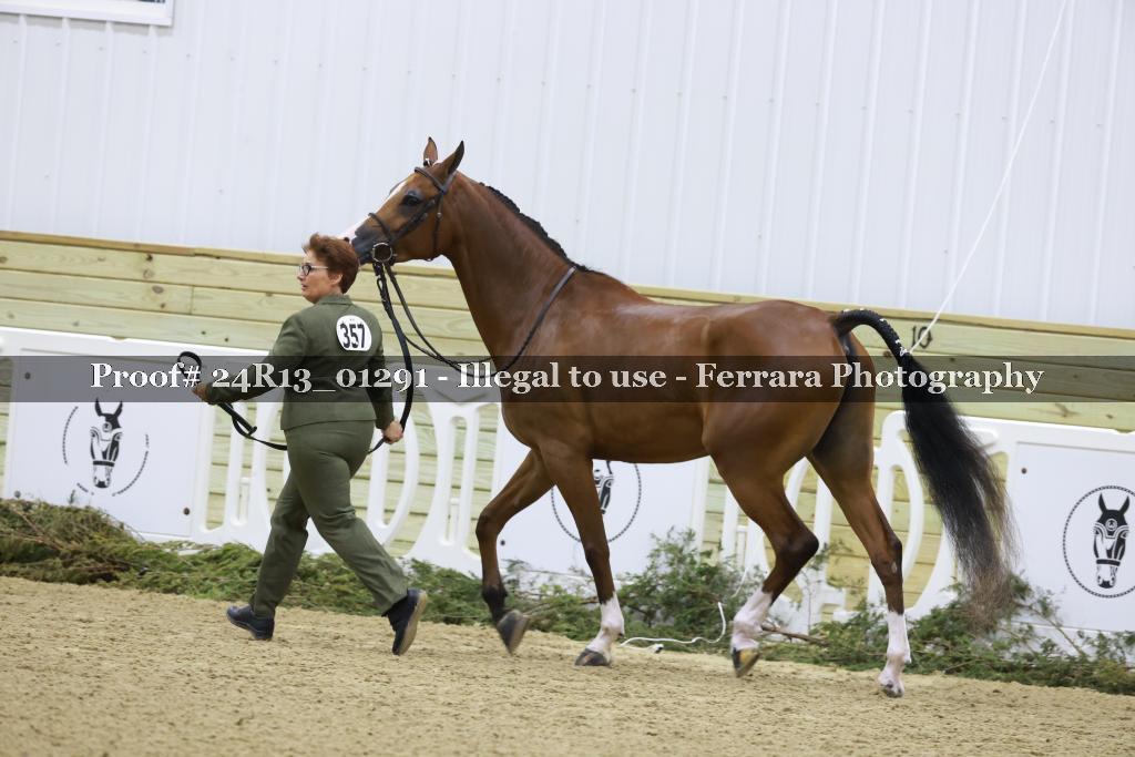 Proof 24R13_01291