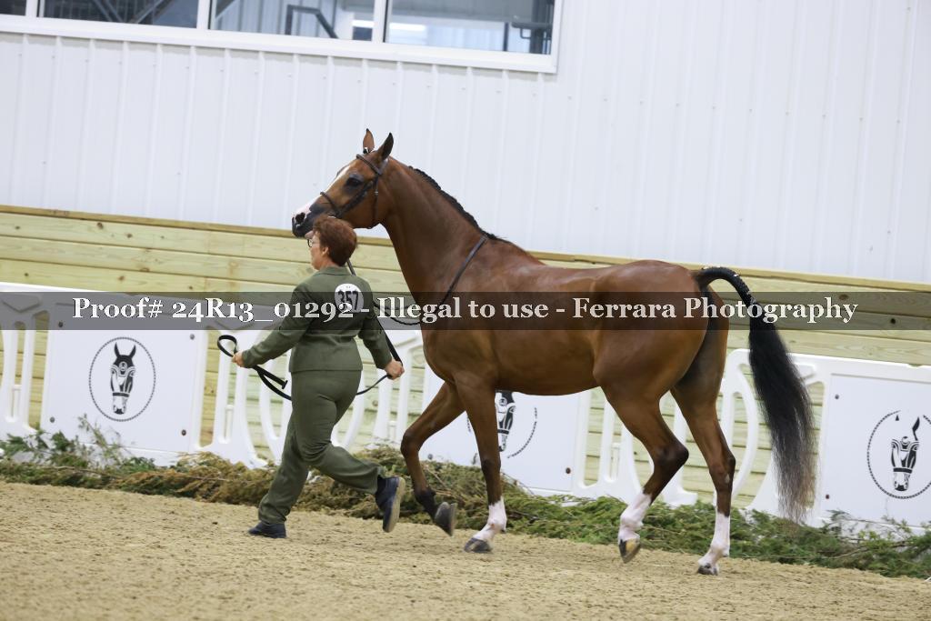 Proof 24R13_01292