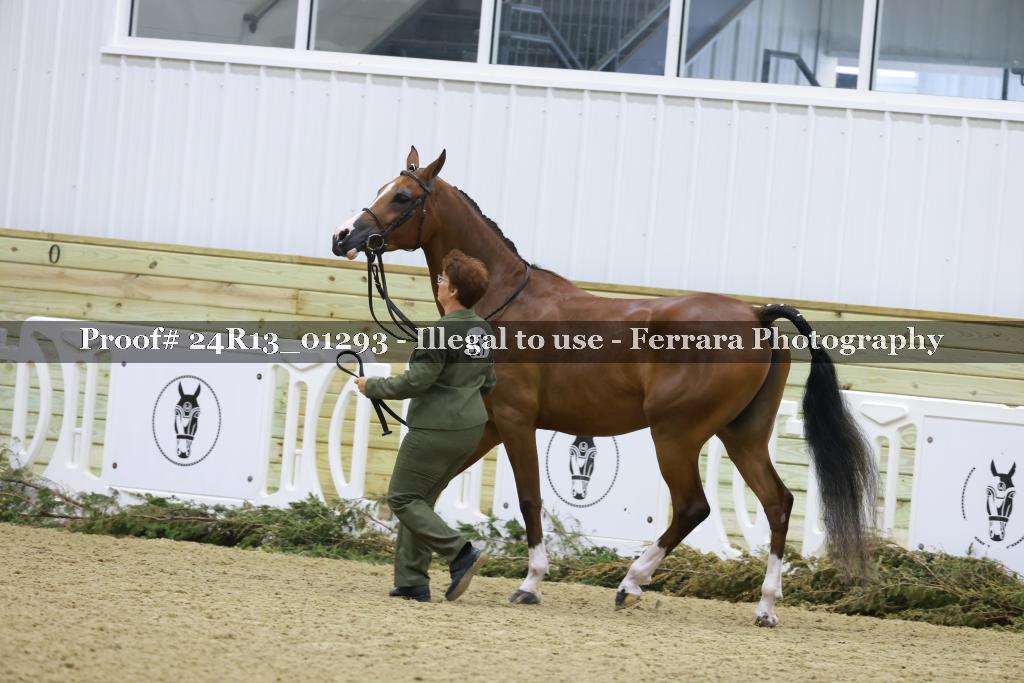 Proof 24R13_01293