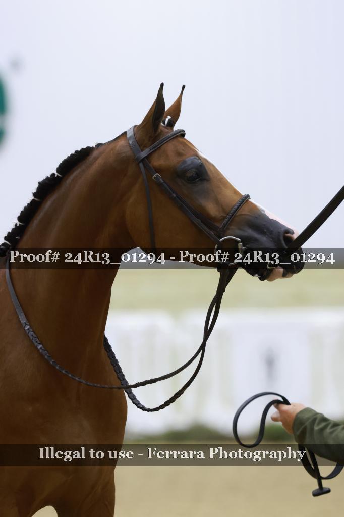 Proof 24R13_01294