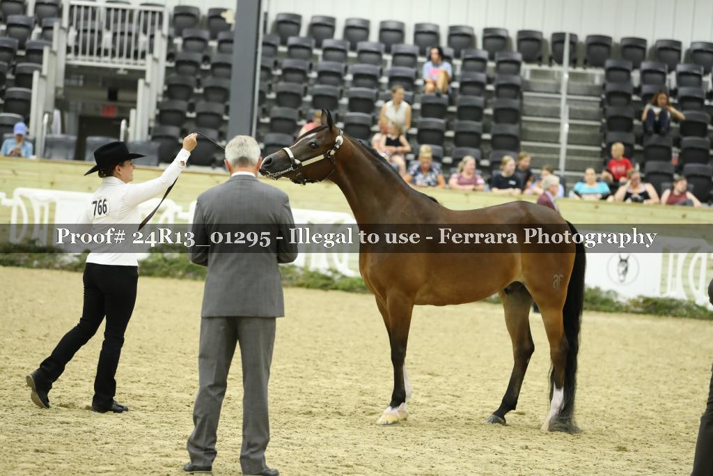 Proof 24R13_01295
