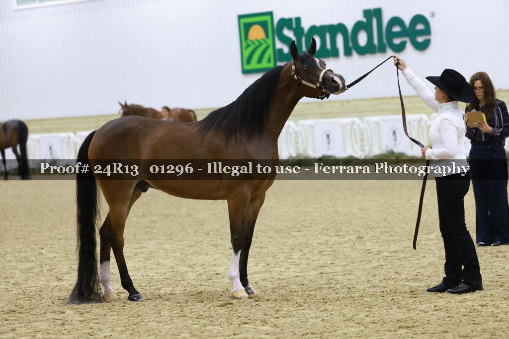 Proof 24R13_01296