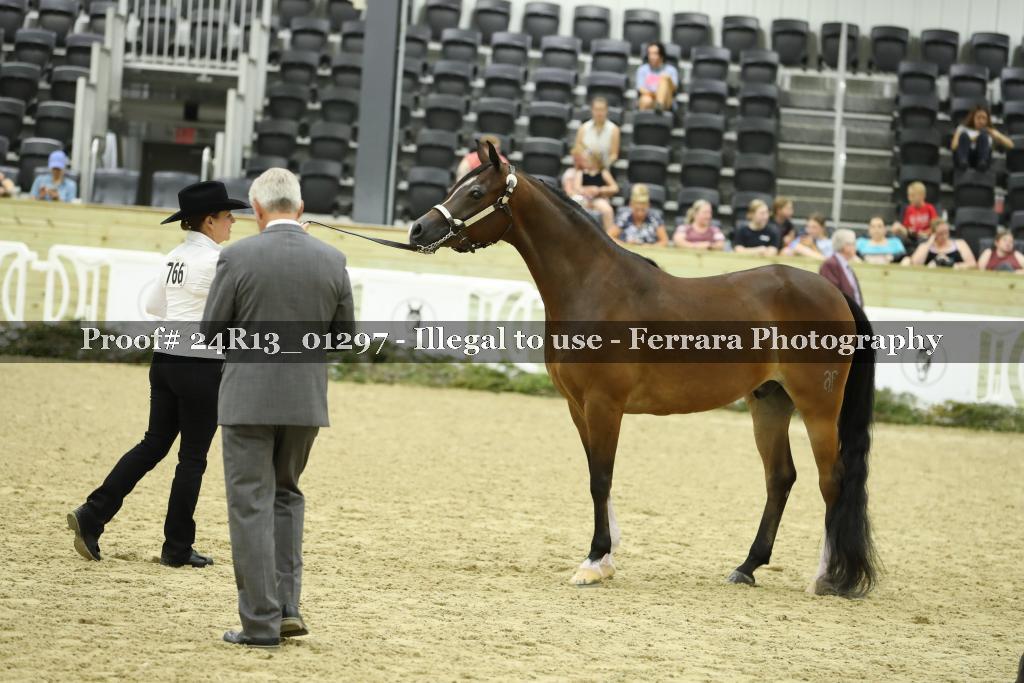 Proof 24R13_01297