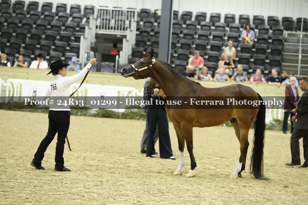 Proof 24R13_01299