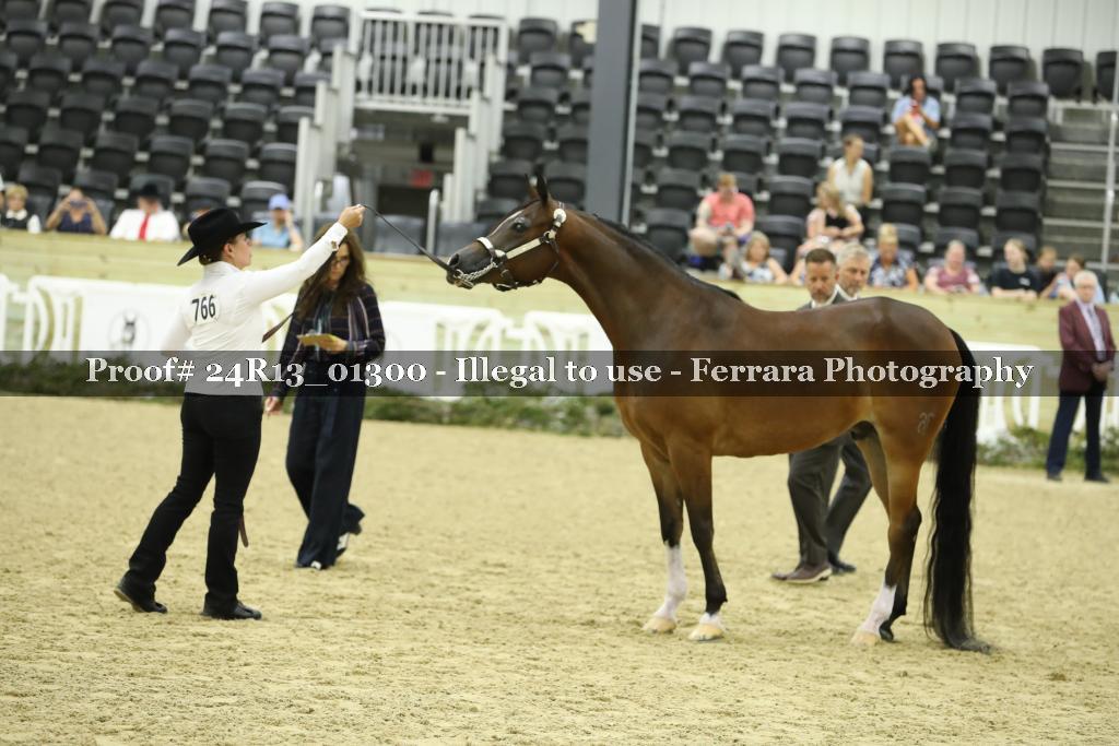 Proof 24R13_01300