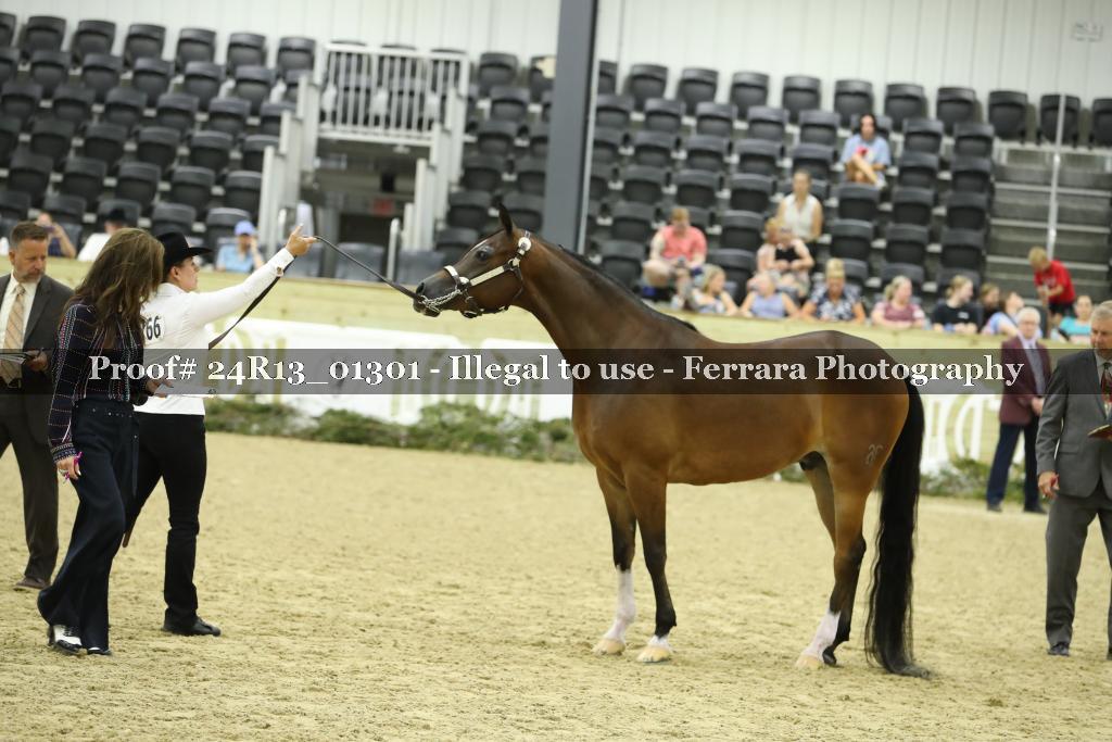 Proof 24R13_01301