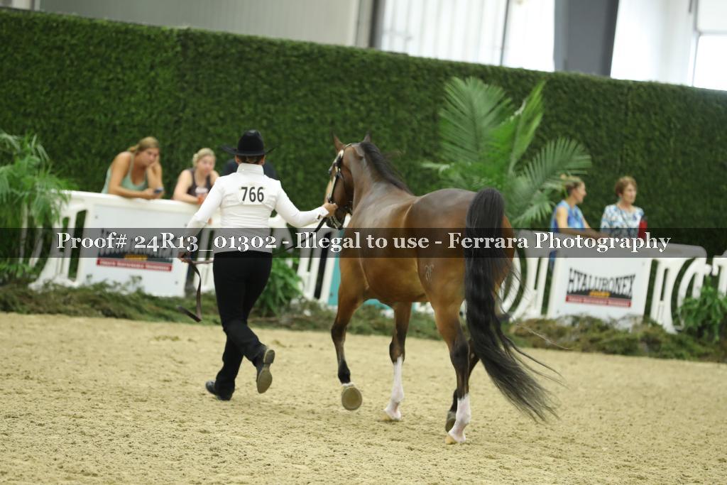 Proof 24R13_01302