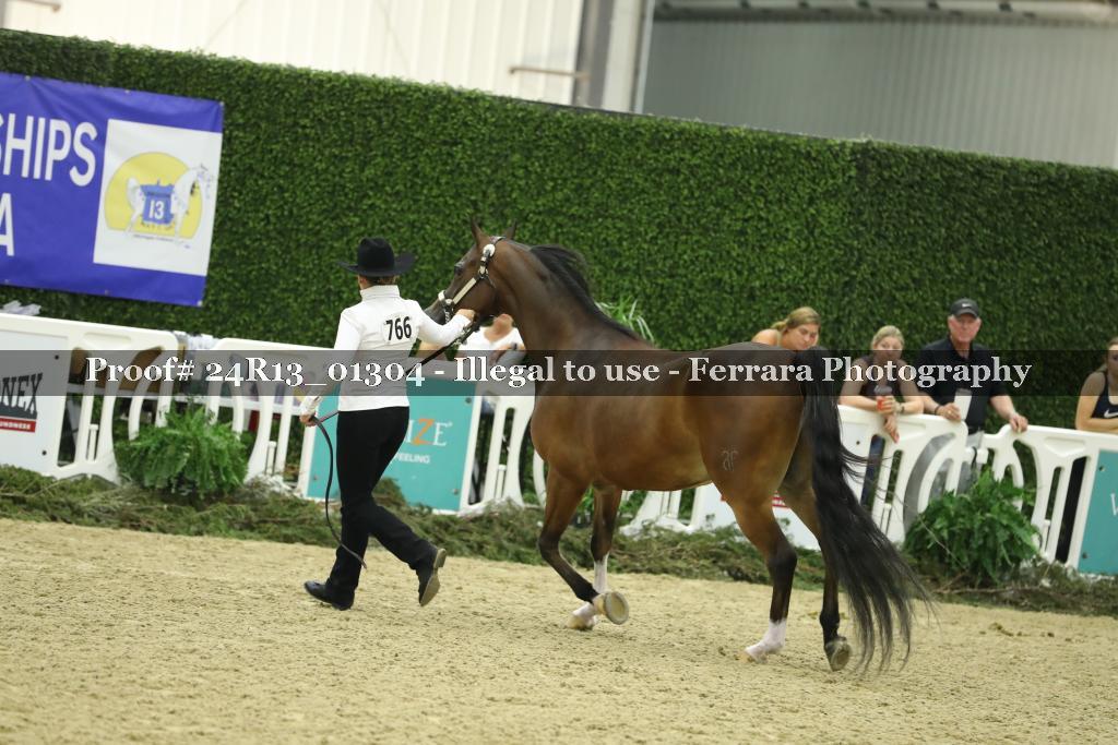 Proof 24R13_01304