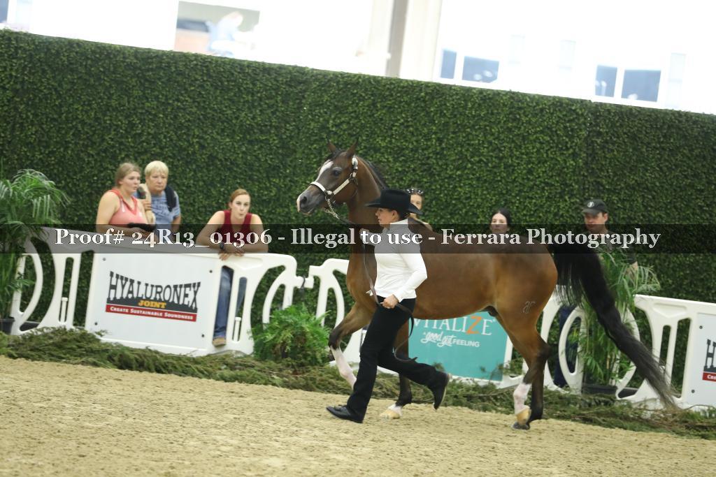 Proof 24R13_01306