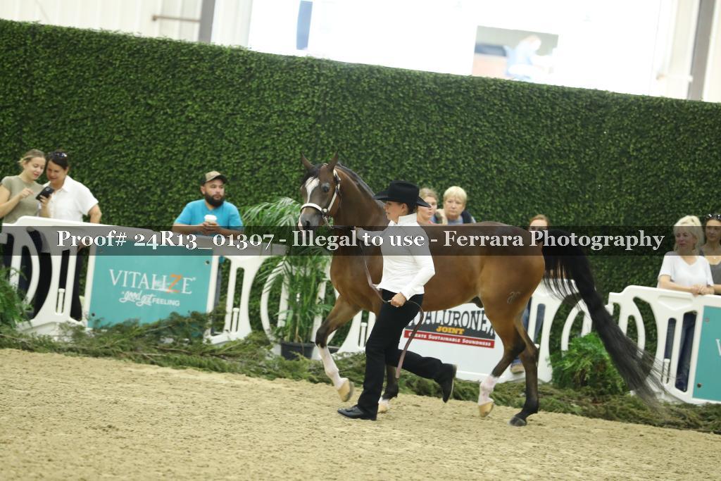 Proof 24R13_01307