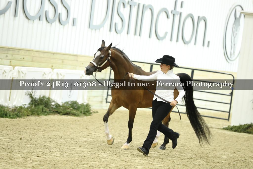 Proof 24R13_01308