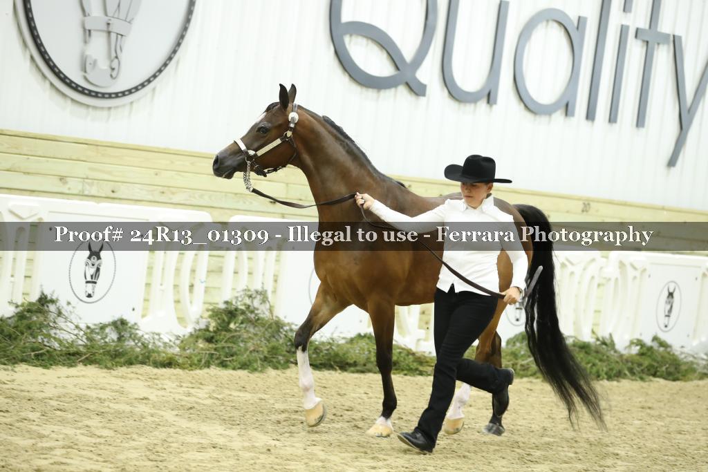 Proof 24R13_01309