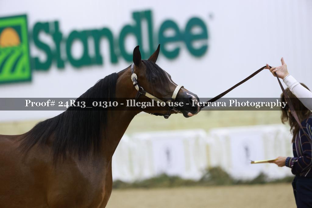 Proof 24R13_01310