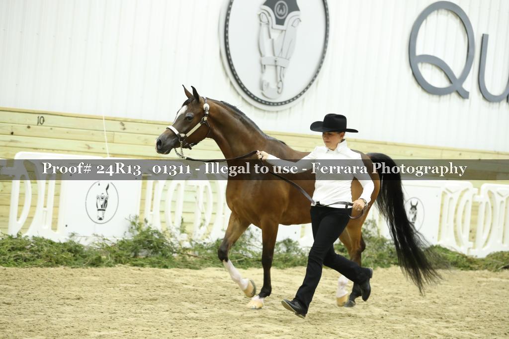 Proof 24R13_01311