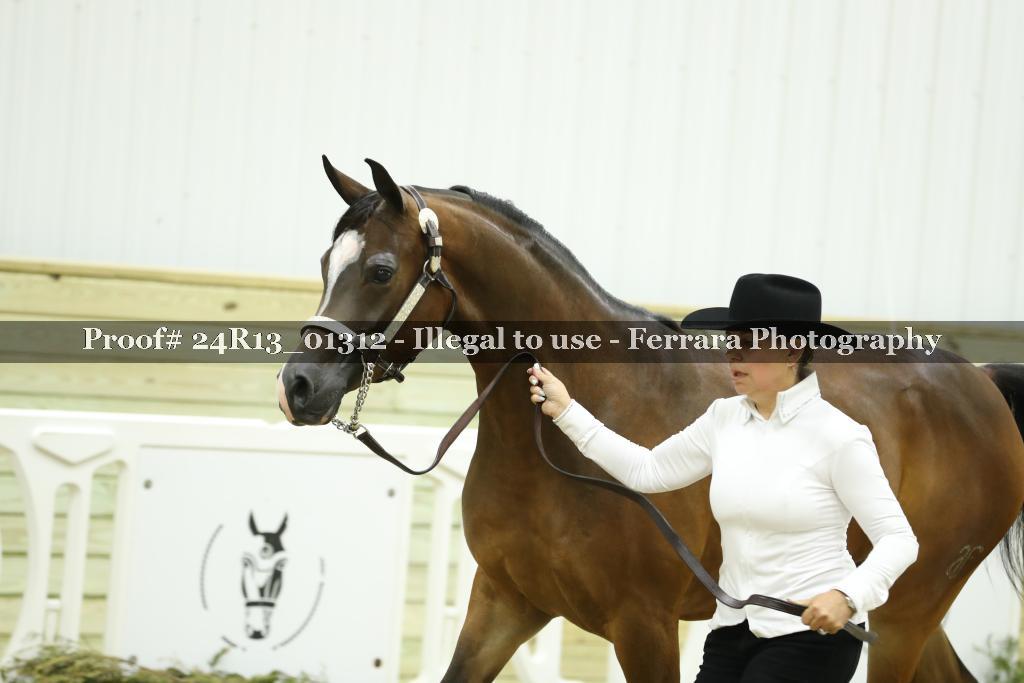 Proof 24R13_01312