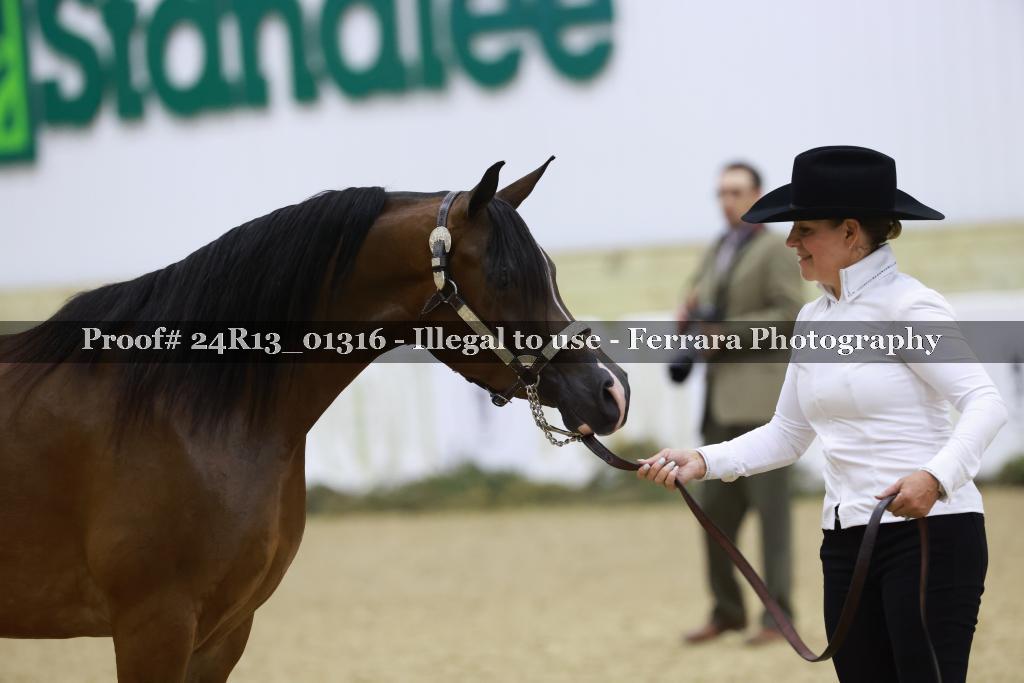 Proof 24R13_01316