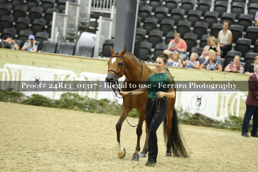 Proof 24R13_01317