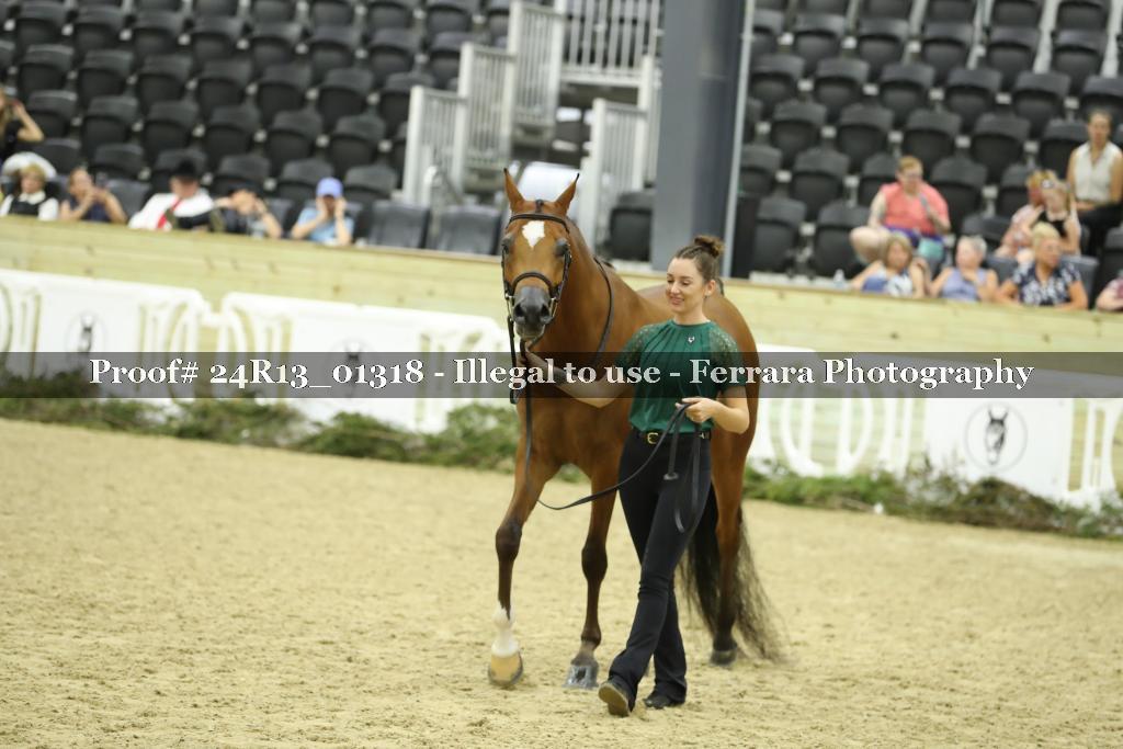 Proof 24R13_01318
