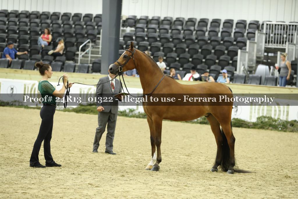 Proof 24R13_01322