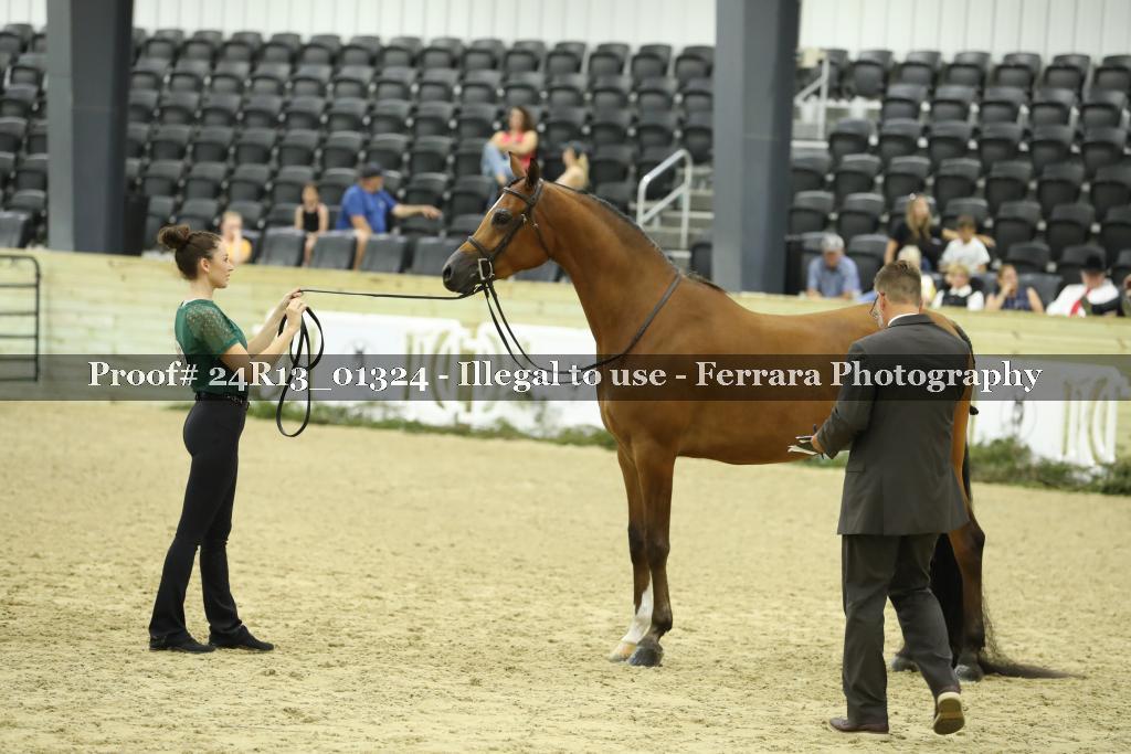 Proof 24R13_01324