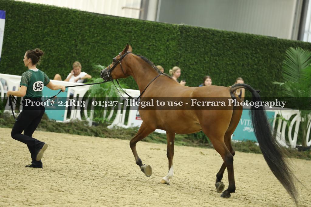 Proof 24R13_01327