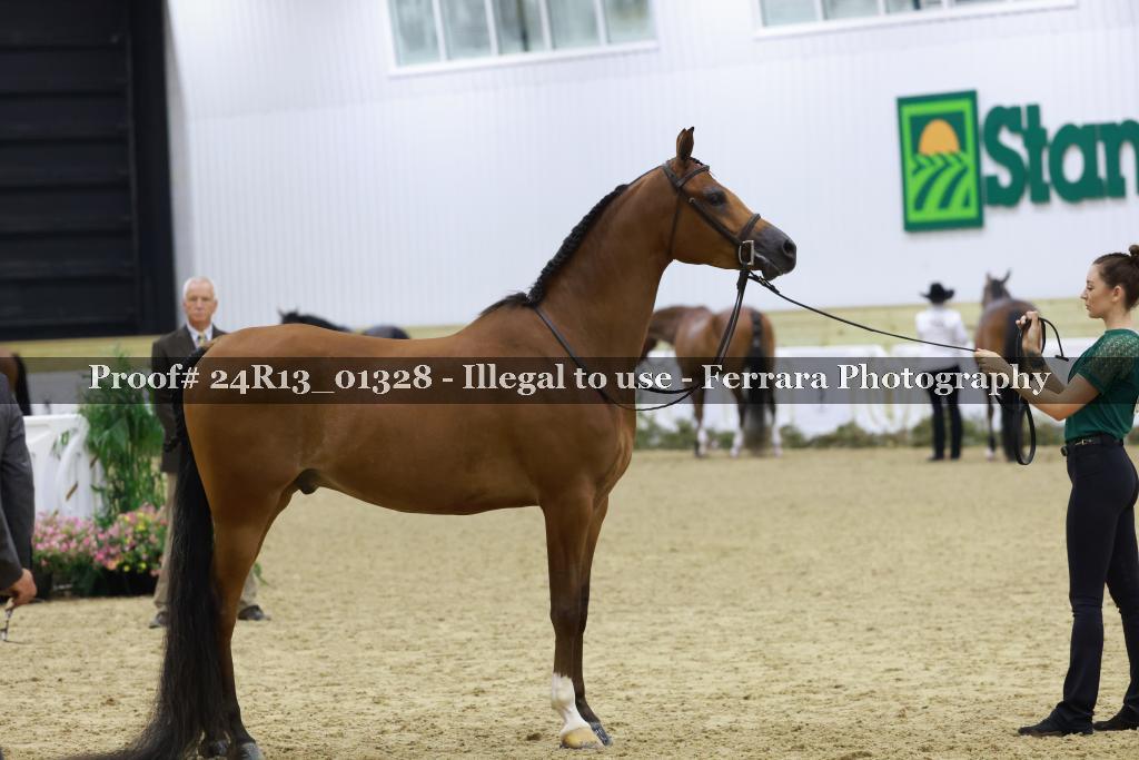 Proof 24R13_01328
