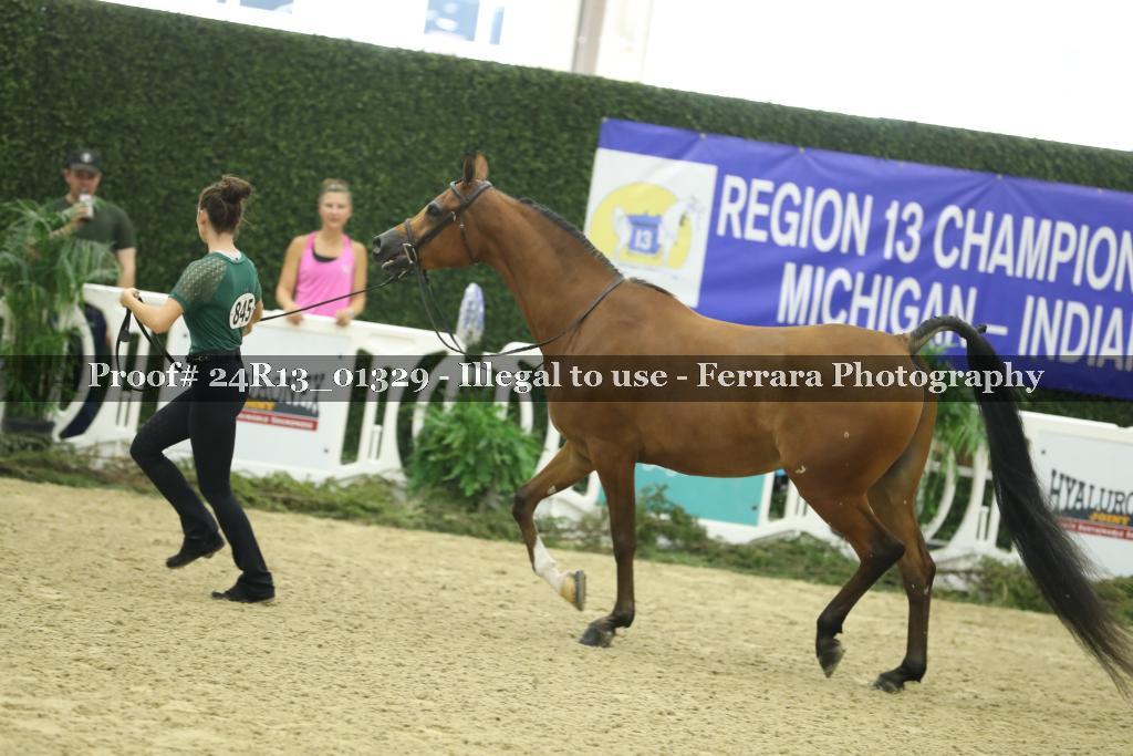 Proof 24R13_01329