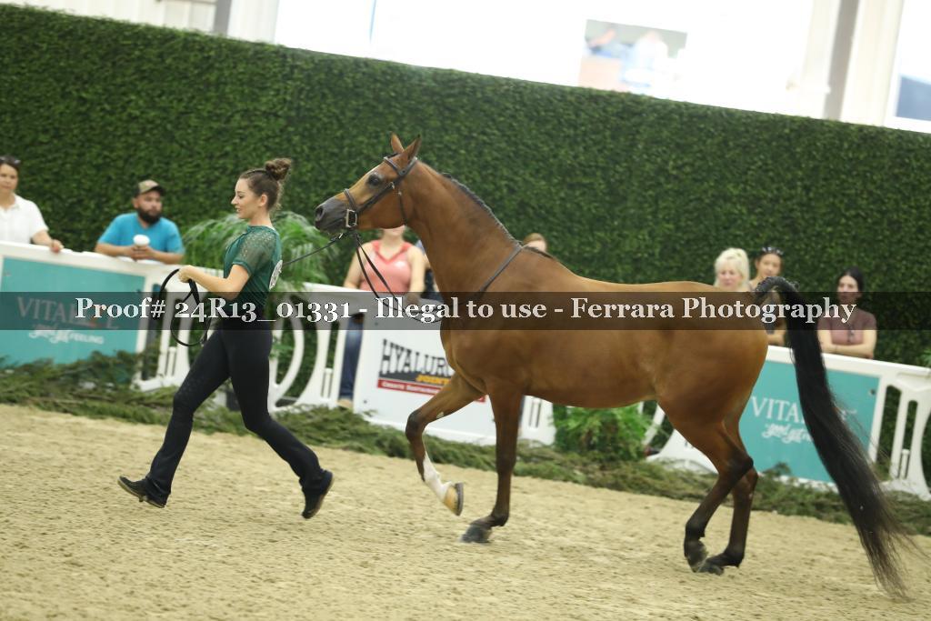 Proof 24R13_01331