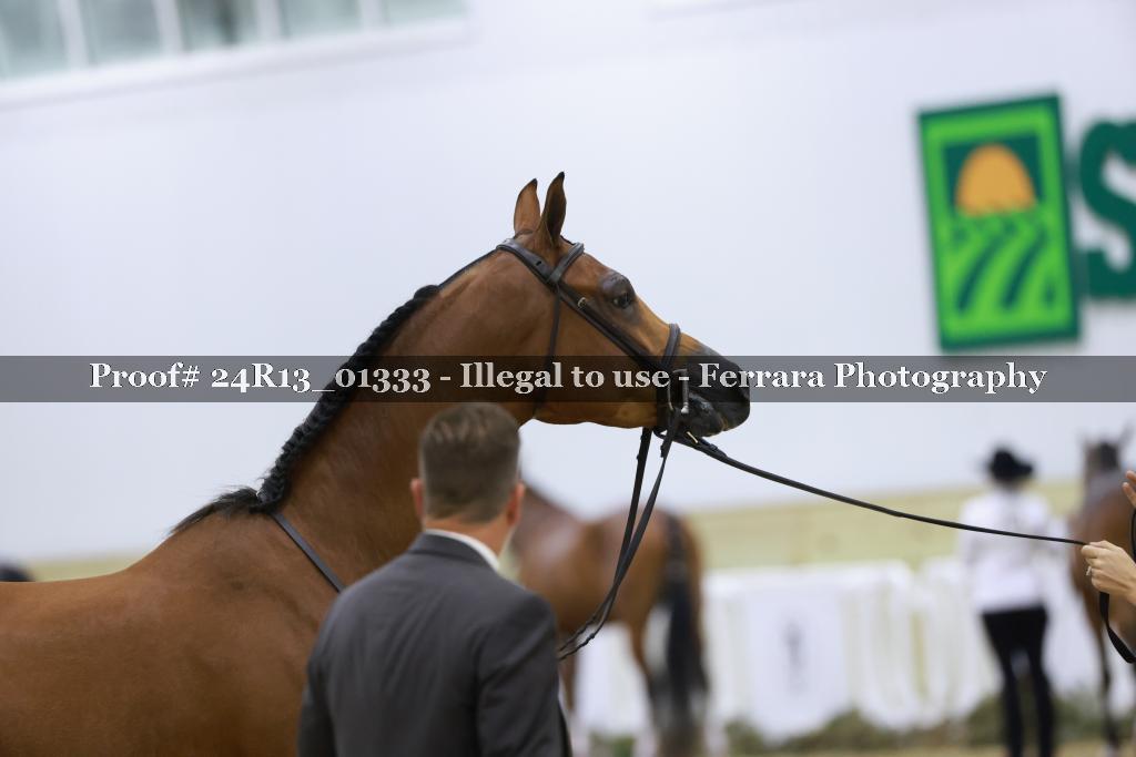 Proof 24R13_01333