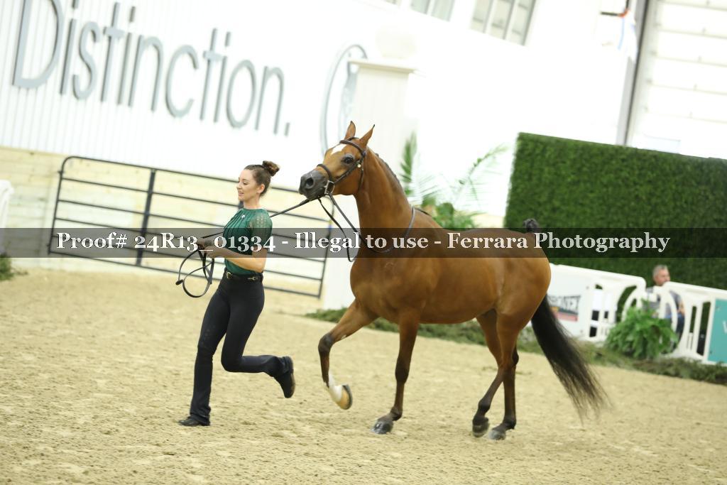 Proof 24R13_01334