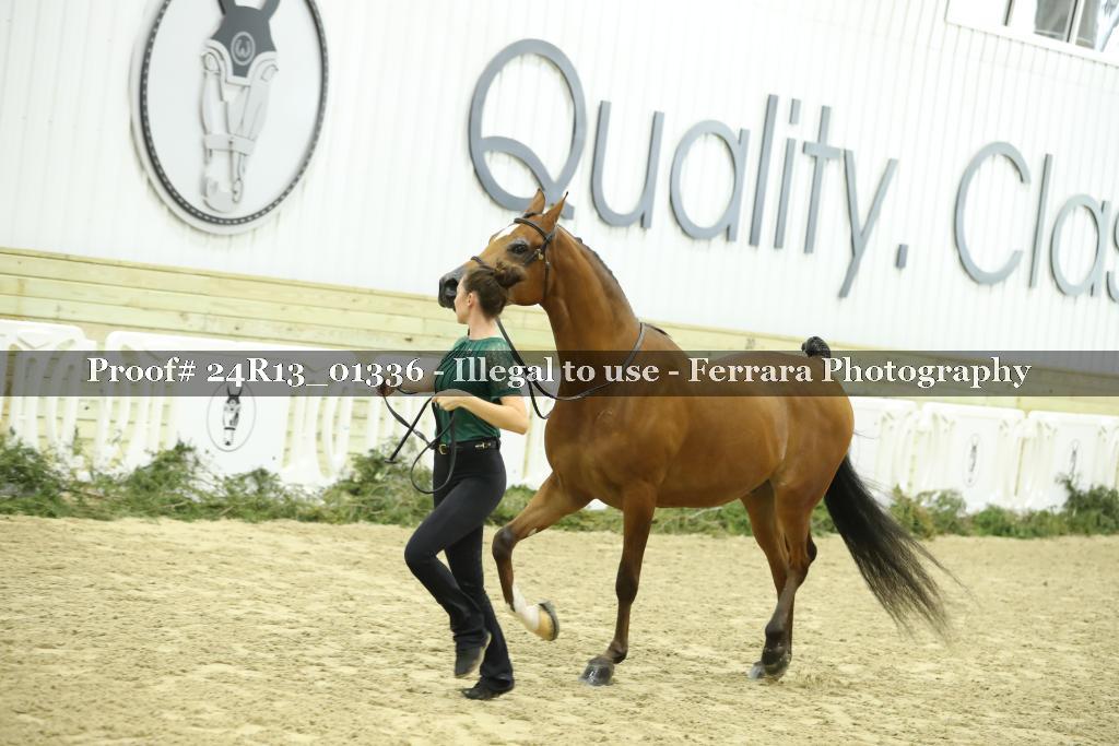 Proof 24R13_01336