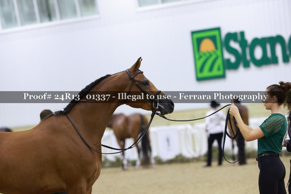 Proof 24R13_01337