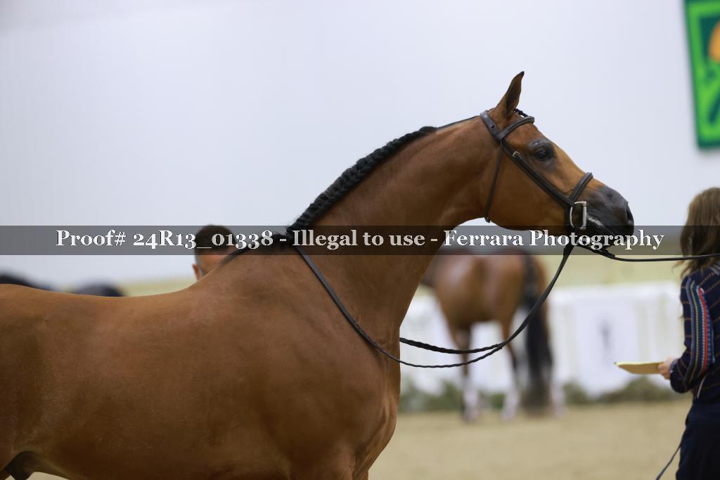Proof 24R13_01338