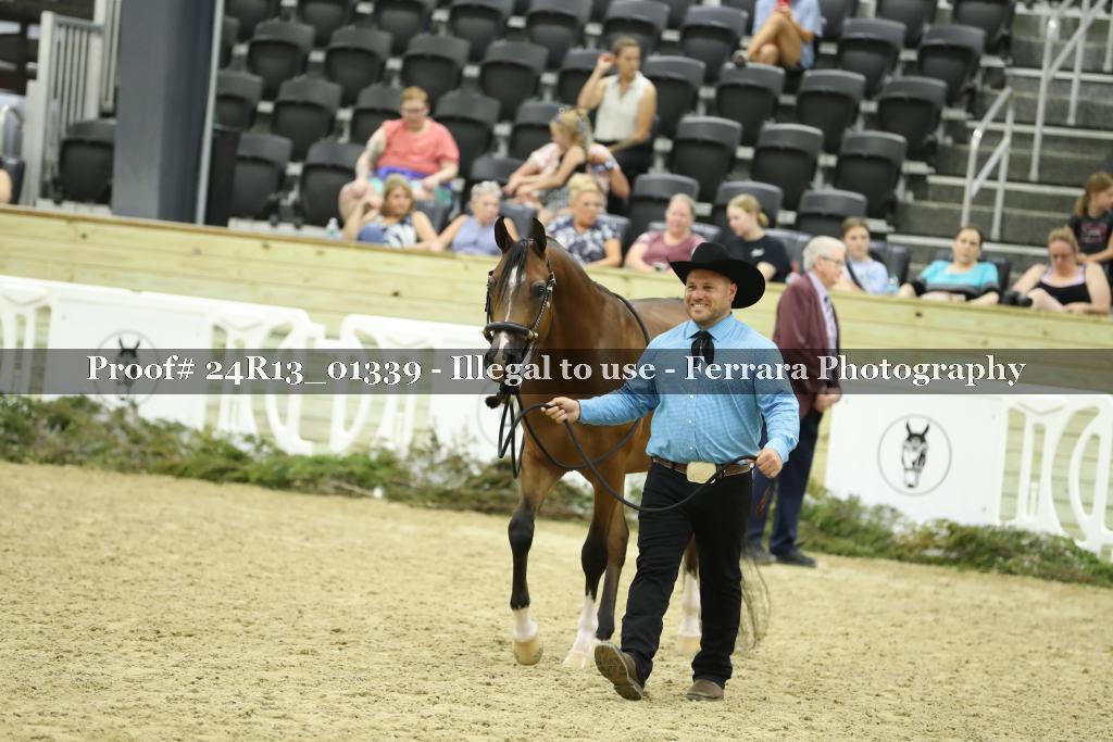 Proof 24R13_01339