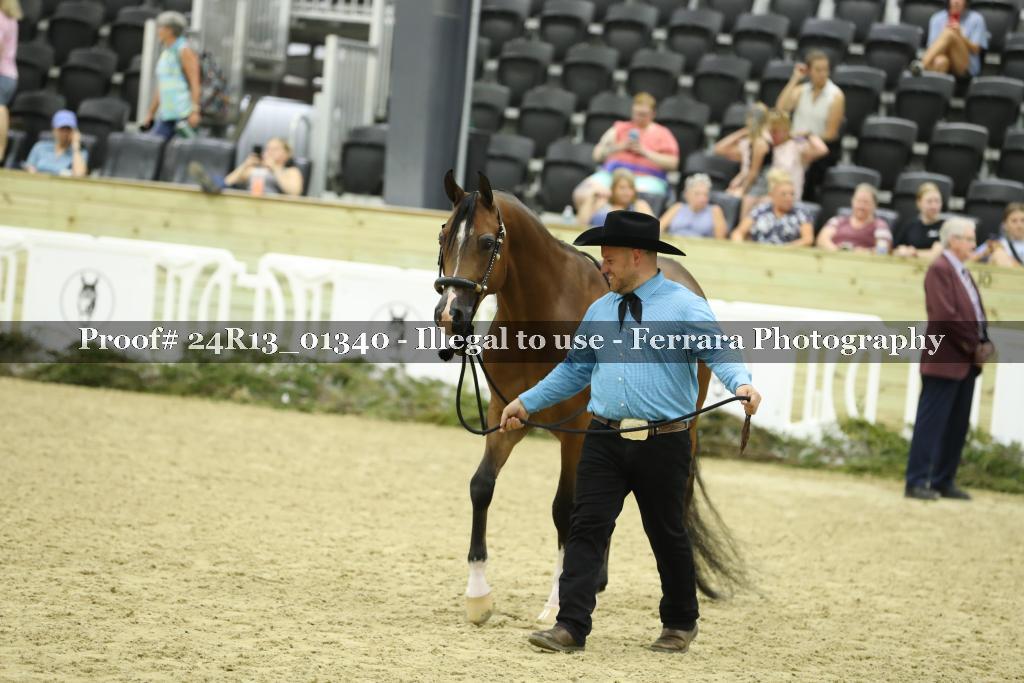 Proof 24R13_01340