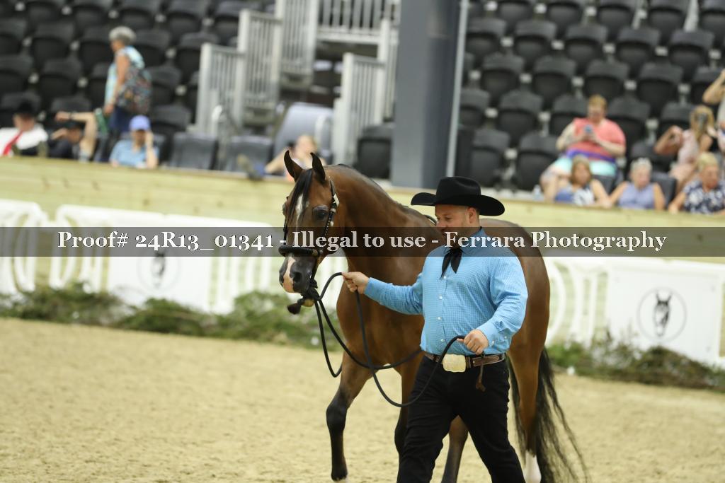 Proof 24R13_01341