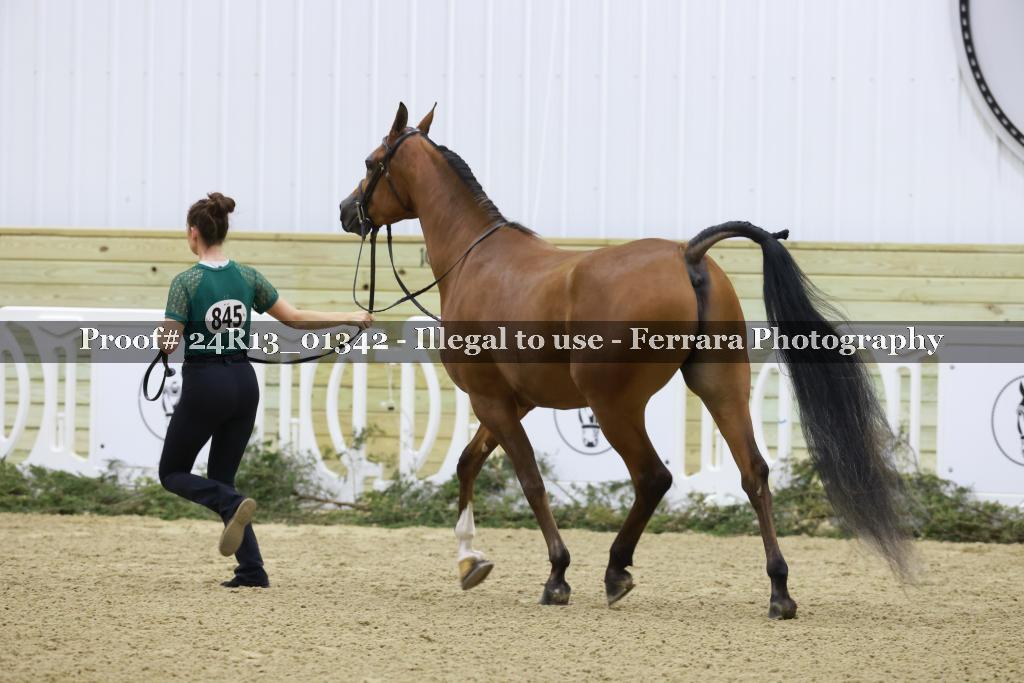 Proof 24R13_01342