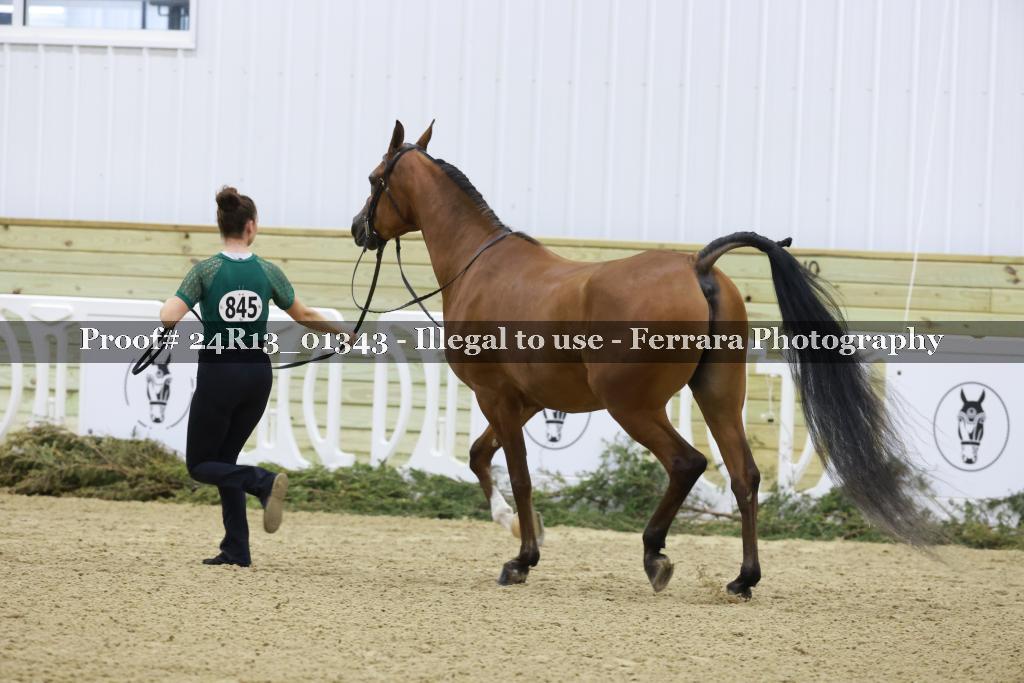 Proof 24R13_01343