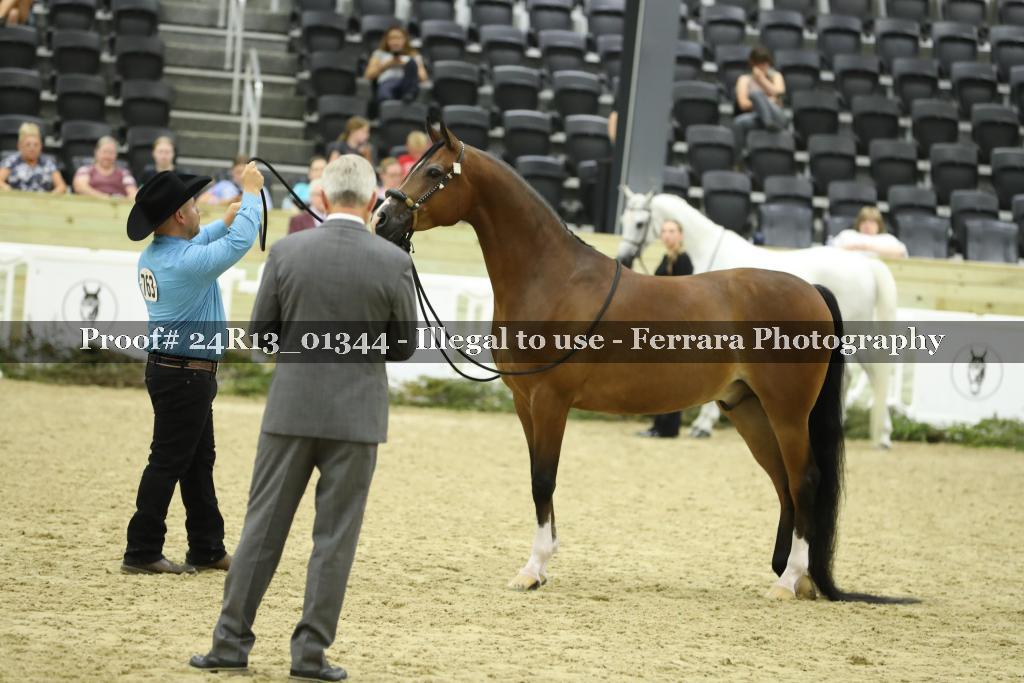 Proof 24R13_01344