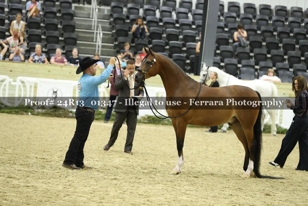 Proof 24R13_01347