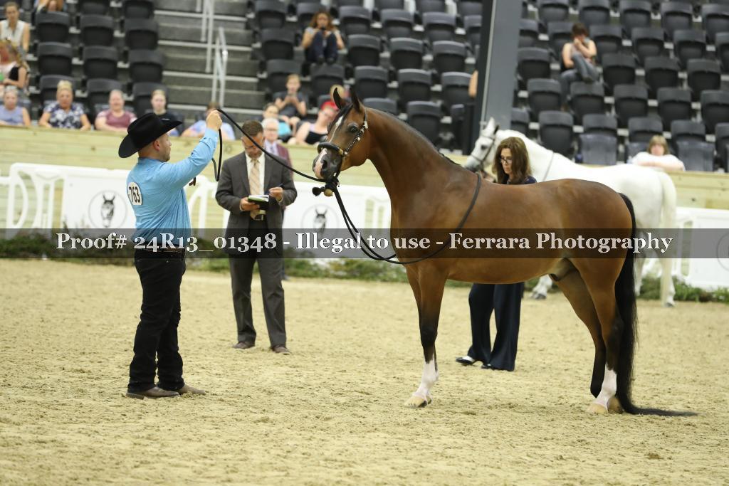 Proof 24R13_01348