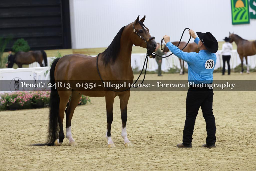 Proof 24R13_01351