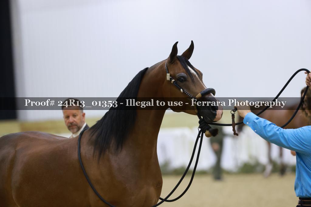 Proof 24R13_01353
