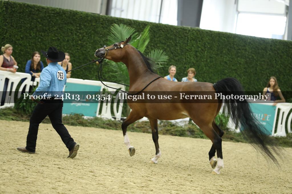 Proof 24R13_01354