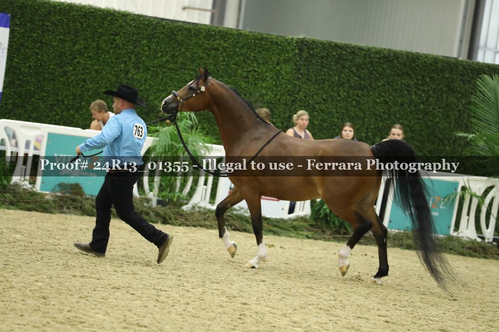 Proof 24R13_01355