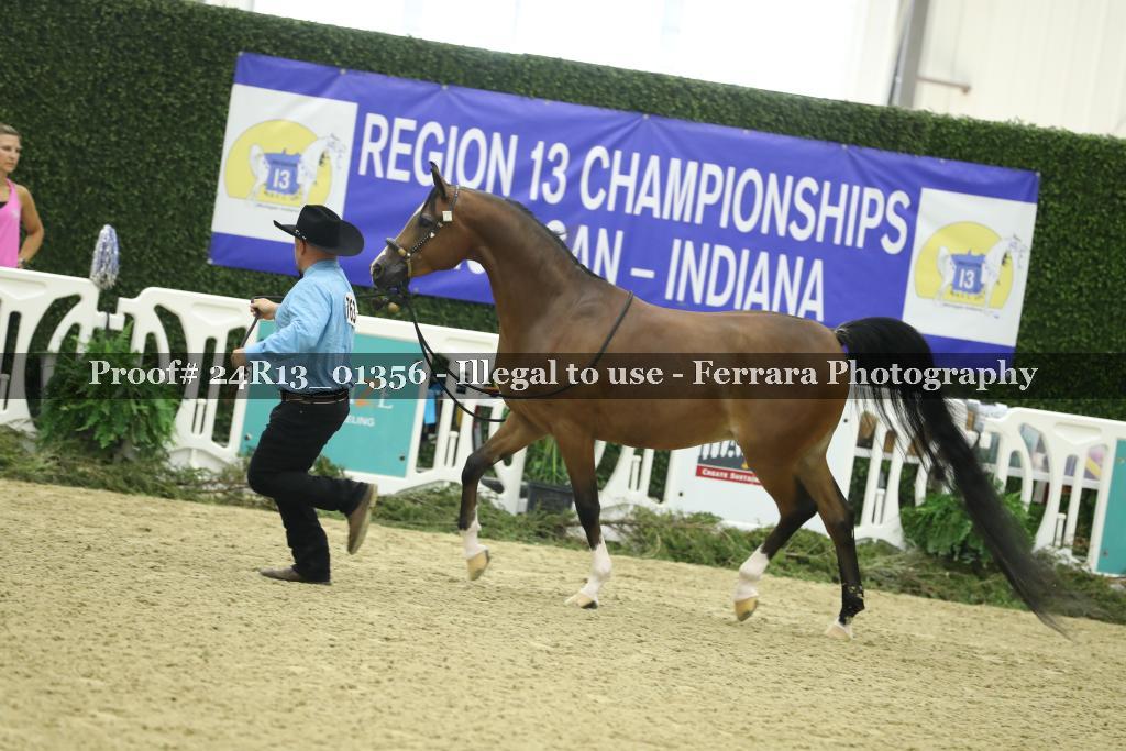 Proof 24R13_01356