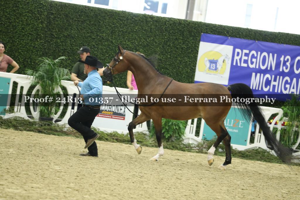 Proof 24R13_01357