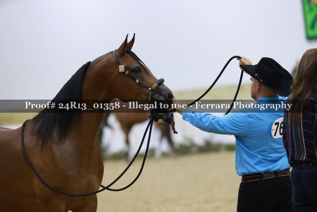 Proof 24R13_01358
