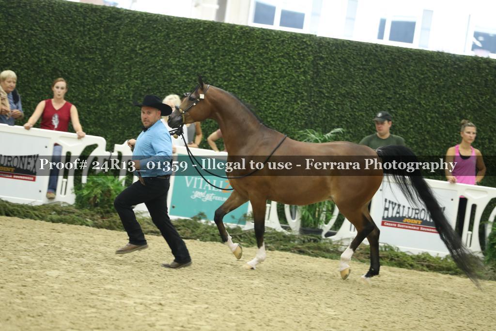 Proof 24R13_01359